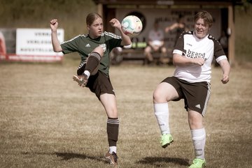 Bild 736 - wBJ TuRa Meldorf/Buesum - JFV Luebeck : Ergebnis: 1:0